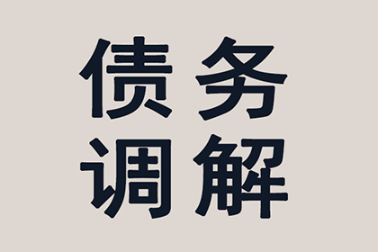 无力偿还强制执行债务的应对策略